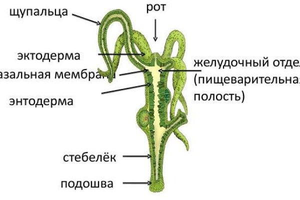 Кракен 15at