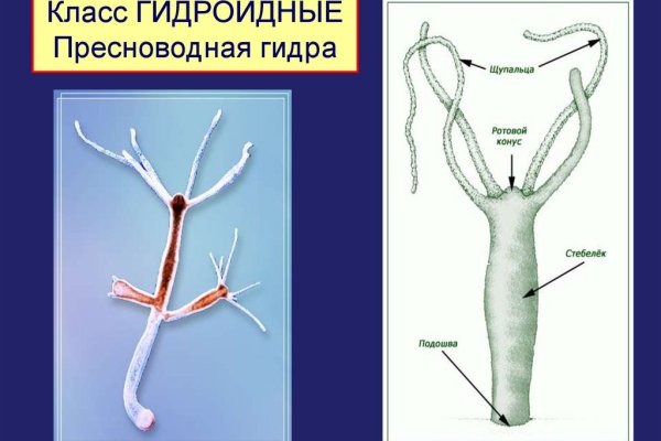 Кракен официальная ссылка зеркало